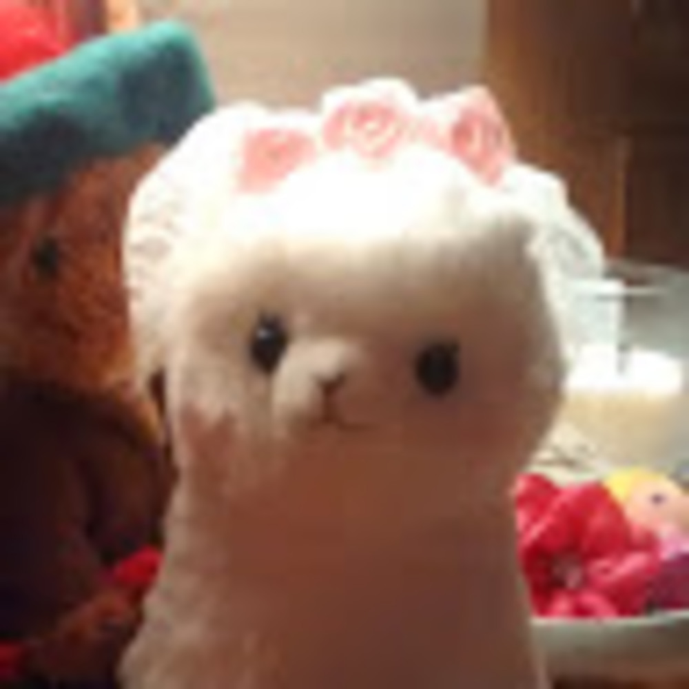 Meet your Posher, Kaelynn